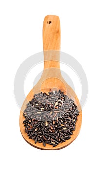 Black Glutinous Rice On Wooden Spoon II
