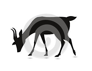 Black Goat Animals isolated vector Silhouettes