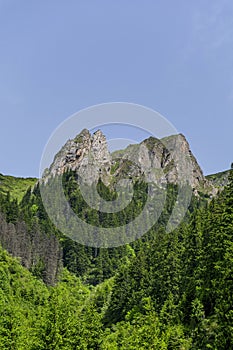 Black Goat summit in Carpathian Mountains landscape