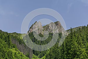 Black Goat summit in Carpathian Mountains landscape