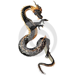 Black and Gold Dragon