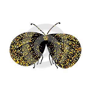 Black and gold glitter moth butterfly, celestial vector fairy insect bug illustration