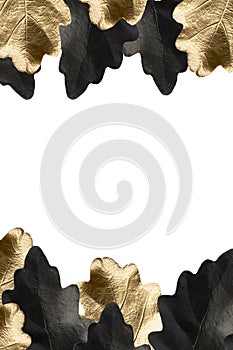 Black and gold hand painted oak leaves border frame on a white isolated background with copy space