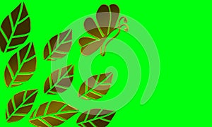 Black and gold illustration design with tropical objects