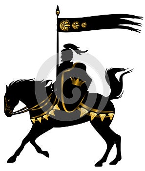 Black and gold knight photo