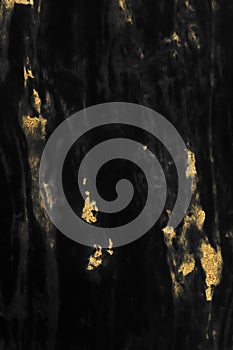 Black gold marble texture pattern background for cover book or brochure, poster and wallpaper background or realistic business