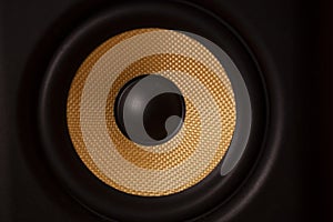 Black and Gold Speaker