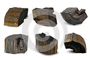 Black Gold Wood kemuning hitam isolated on white