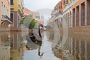 A black goose, swan or duck in Venice Vacharaphol with canal in Bangkok City, Thailand in Italian concept. Italy town. Europe