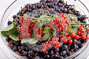Black gooseberries and red currants photo
