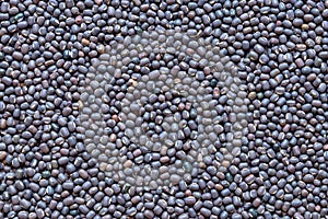 Black Gram Lentils  or Skinned Urad Dal, closeup