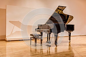 Black Grand piano at the concert Hall