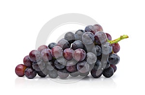 Black grape cluster