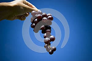 Black grapes