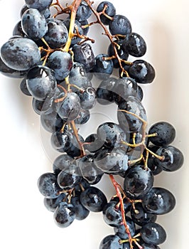 Black grapes Vitis vinifera on white background