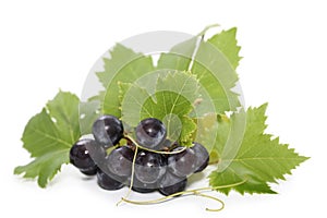 Black grapes