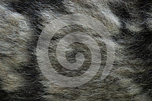 black gray dog hair for background, dog hair, fur coat background, wool