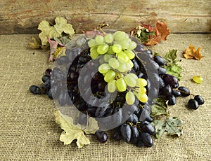 Black and green grapes