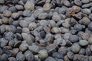 Black and green lentils background