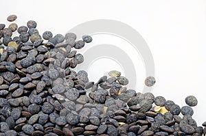 Black and green lentils background