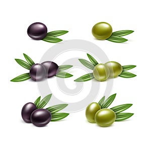 Black Green Olives Branches Leaves Isolated White