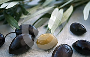 Black and green olives with leaves and brench on the gray background photo