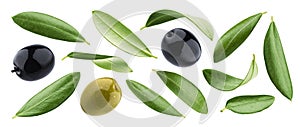 Black and green olives with leaves isolated on white background