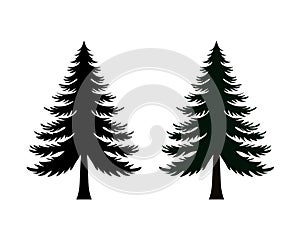 Black & Green Pine Tree Vector Design, Pine Tree Silhouette