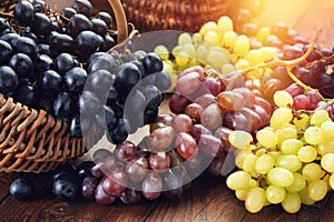 Black, green and purple grapes. Ripe bunches of grapes in a basket