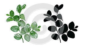 black and green tree branch, leaf tree branch line art green nature plant foliage eco tropical