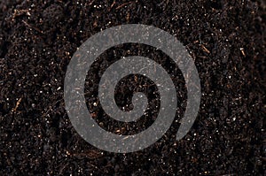 Black ground close up