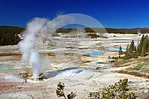 Black Growler Steam Vent at the Porcelain Basin, Norris Geyser Basin, Yellowstone National Park, Wyoming