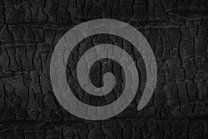 Black grunge background. Burned wood texture