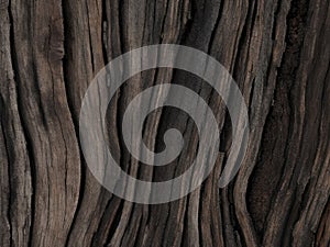 Black grunge background. Burned wood texture