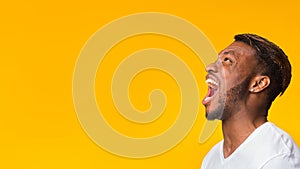 Black Guy Screaming Loudly Standing In Studio, Panorama, Side View