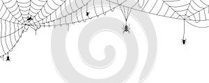 Black halloween banner with spiderweb and spiders silhouettes, cobweb spooky background nets frame wall sticker, scary torn spider