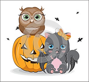 Black Halloween cat girl and owl on pumpkin