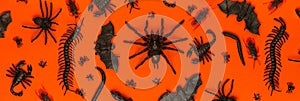 Black Halloween creepy bugs and spiders on orange background