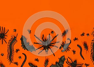 Black Halloween creepy bugs and spiders on orange background with blank space for text