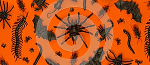 Black Halloween creepy crawly bugs and spider on orange background photo