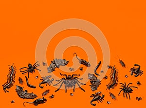 Black Halloween creepy crawly bugs and spiders on orange background with blank space for text