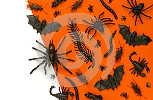Black Halloween creepy crawly bugs and spiders on orange background with blank white space for text