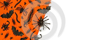 Black Halloween creepy crawly bugs and spiders on orange background with blank white space for text