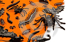 Black Halloween creepy crawly bugs and spiders on orange background with blank white space for text or image