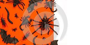 Black Halloween creepy crawly bugs and spiders on orange background with blank white space for text or image