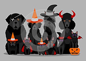 Black halloween dogs and cats group