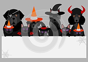 Black halloween dogs and cats with white board