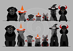 Black halloween dogs in a row