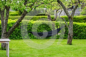 Black hammock tied between green garden trees..