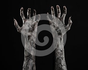 Black hand of death, the walking dead, zombie theme, halloween theme, zombie hands, black background, mummy hands